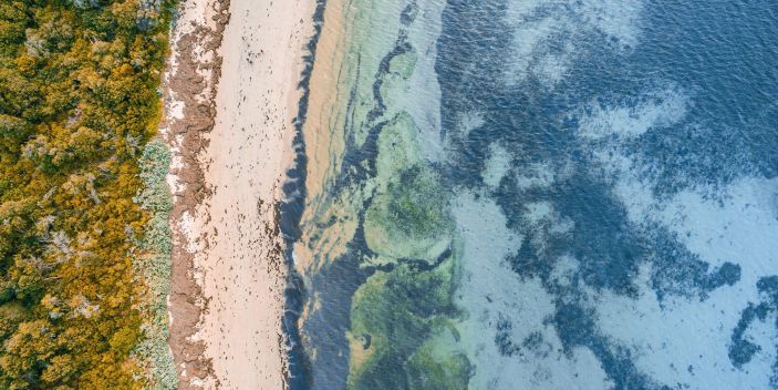 Governance & management