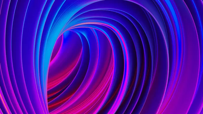 Executive leadership team